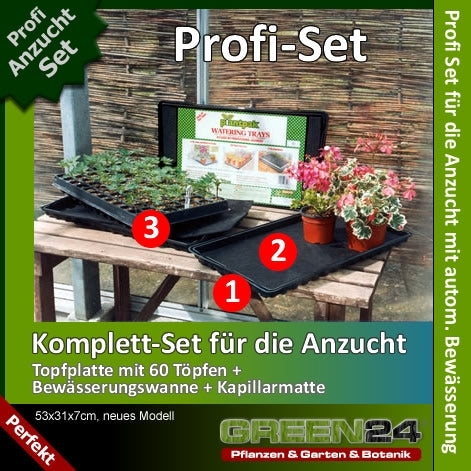 Pro60 propagation set in a planted example with labelled system components