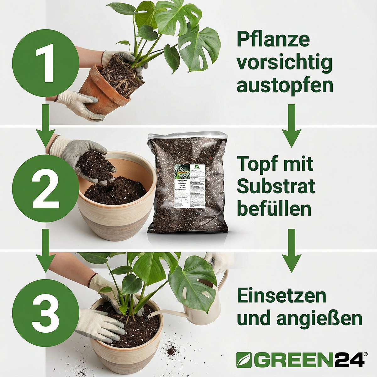 Dreistufige Anleitung zum Umtopfen
