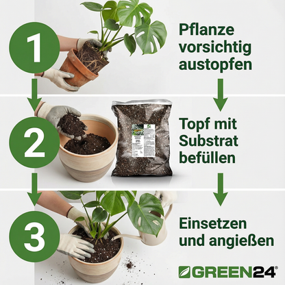 Dreistufige Anleitung zum Umtopfen