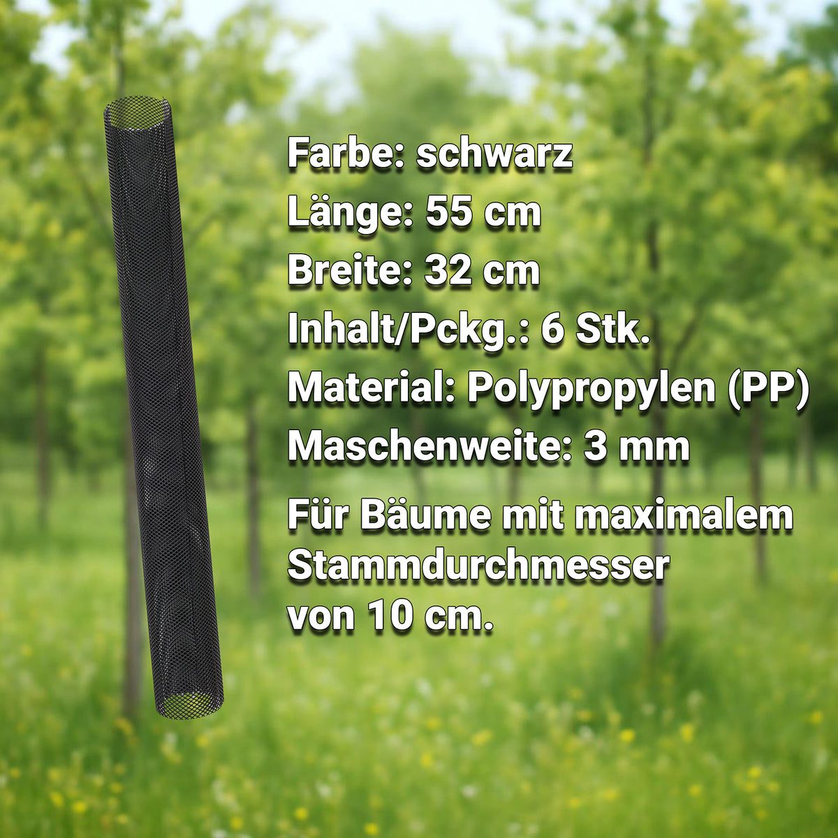 Mesh-Baumschutz mit grafischen Maß- und Materialangaben