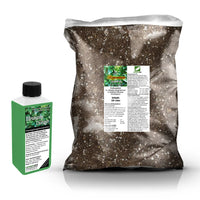 Pothos Repotting Set