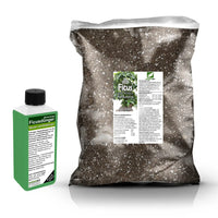 Ficus-Umtopfset