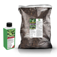 Hosta Repotting Set
