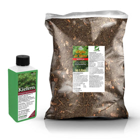 Pine Repotting Set