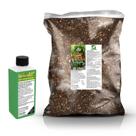 Fern Repotting Set