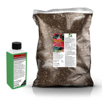 Poinsettia Repotting Set