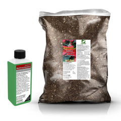 Poinsettia Repotting Set