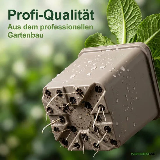 Unterseite eines taupefarbenen Pflanztopfes mit Öffnungen und Wurzeln