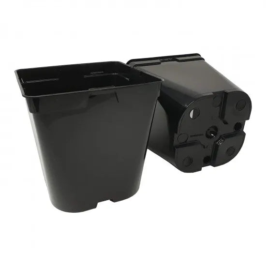 Pflanzcontainer aus PP – 3 und 5 Liter – Originalansicht