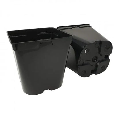 Pflanzcontainer aus PP – 3 und 5 Liter – Originalansicht