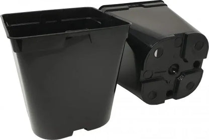 Pflanzcontainer aus PP – 3 und 5 Liter – Originalansicht