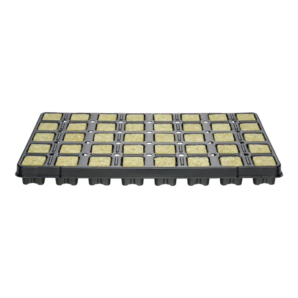 40 Rockwool Cubes with G24 Tray – QP D 40/4P-40 – original view