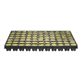 77 Rockwool Cubes with G24 Tray – QP D 77-3