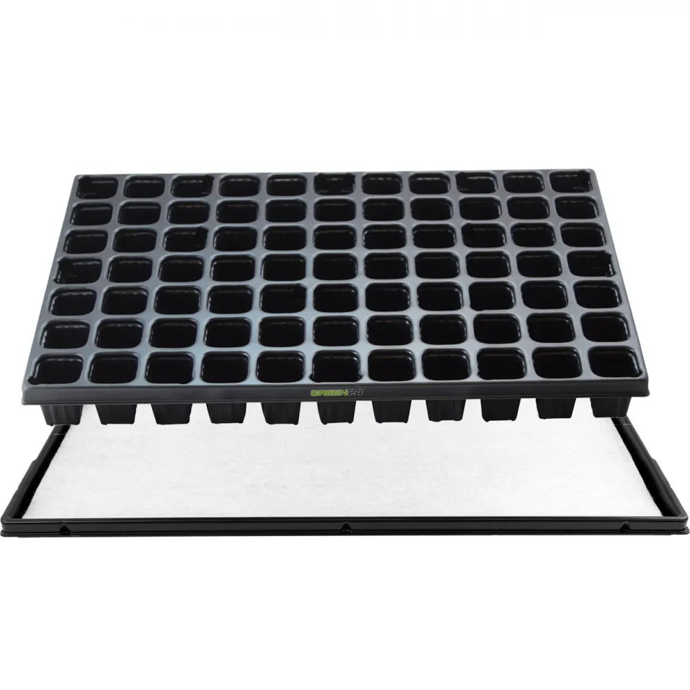 STP QP 77: cell tray above white capillary mat and base tray