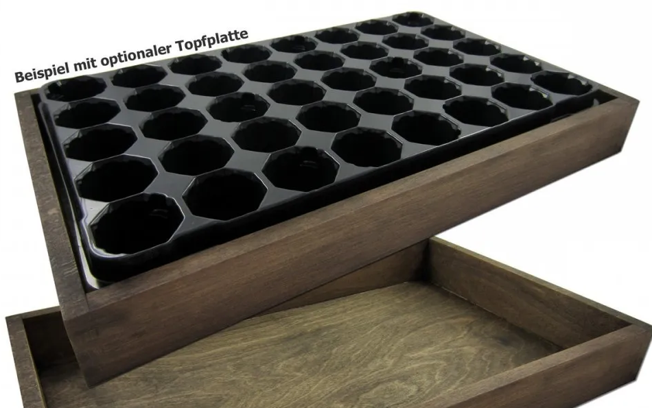 Dark brown Style-Box – original crop with optional cell tray