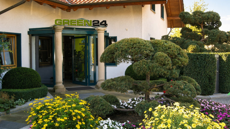 Eingang bei GREEN24 mit begrüntem Vorplatz und blühenden Pflanzen.
