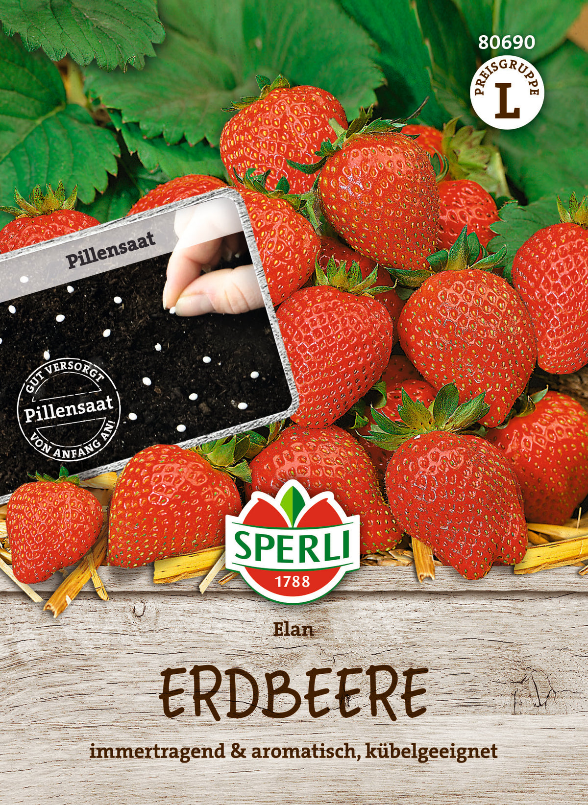 SPERLI Erdbeere Elan F1 – Originalpackung