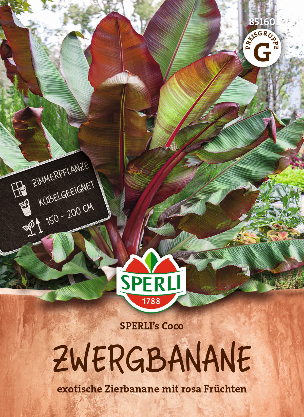 SPERLI Zwergbanane Coco – Originalpackung