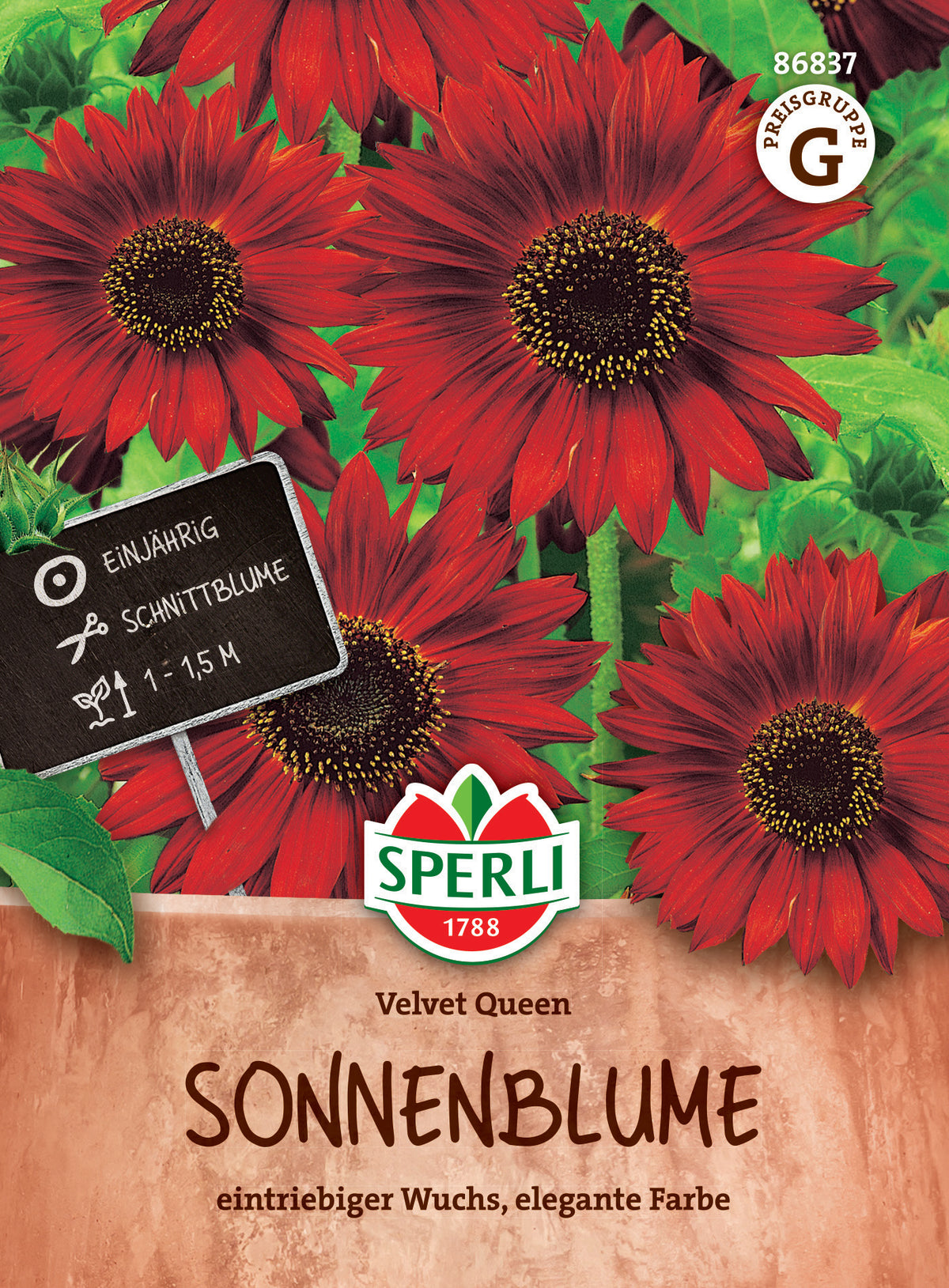 SPERLI Sonnenblume Velvet Queen – Originalpackung