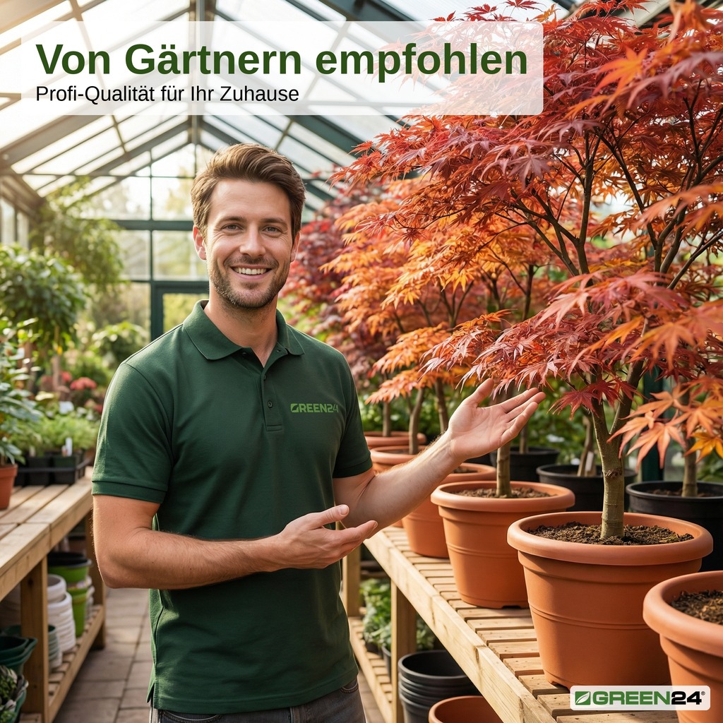 Ahorn Dünger Made in Germany