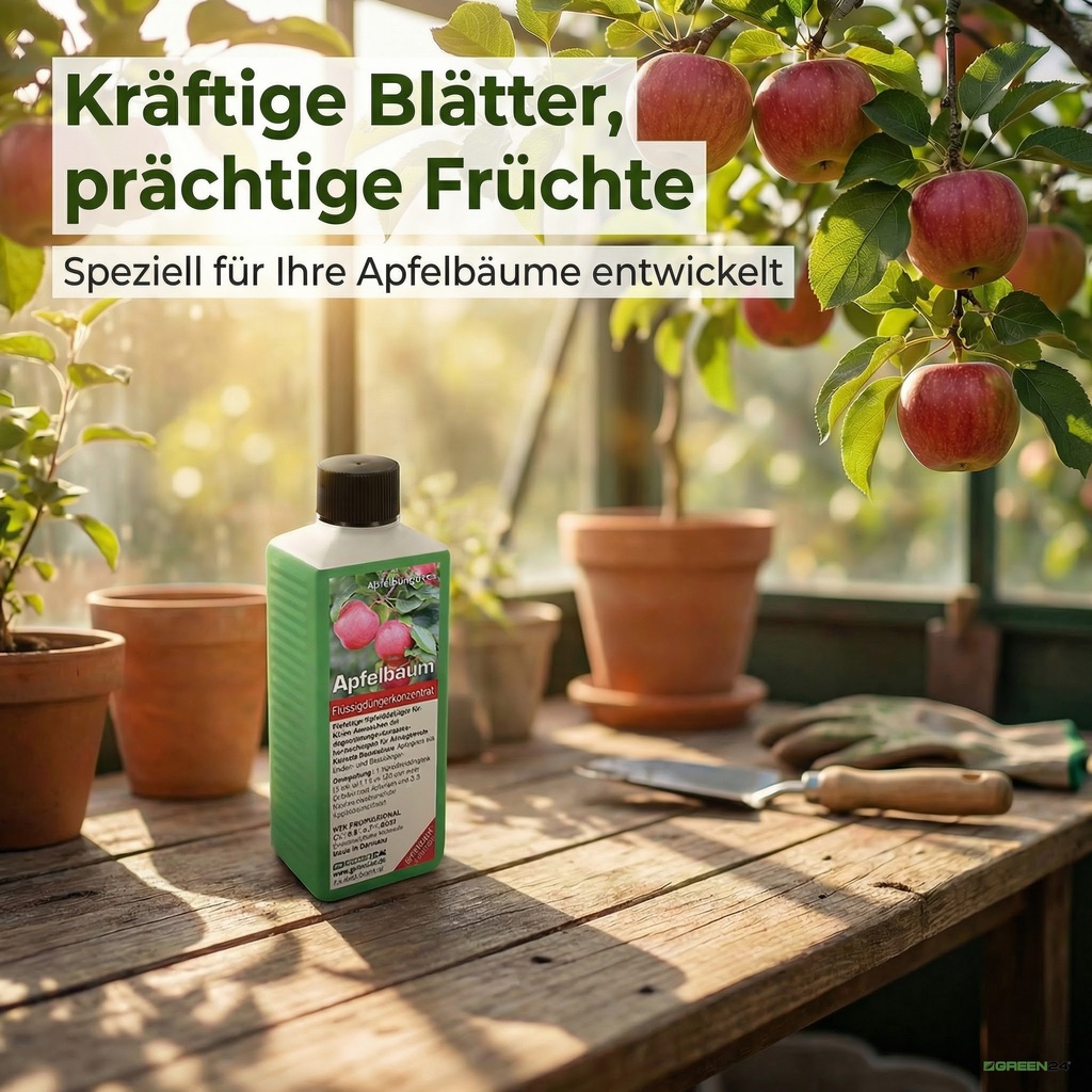 Apfelbaum-Dünger für reife rote Äpfel an Apfelbäumen