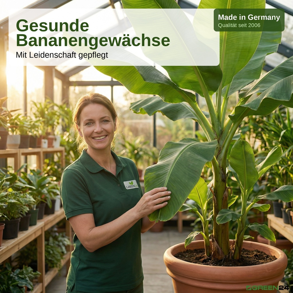 Bananendünger Made in Germany