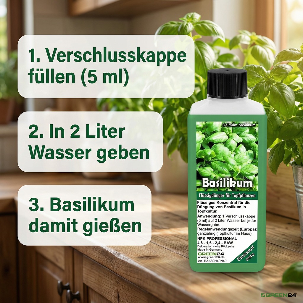 Basilikum-Dünger mit Anwendungsschritten an Basilikumpflanzen