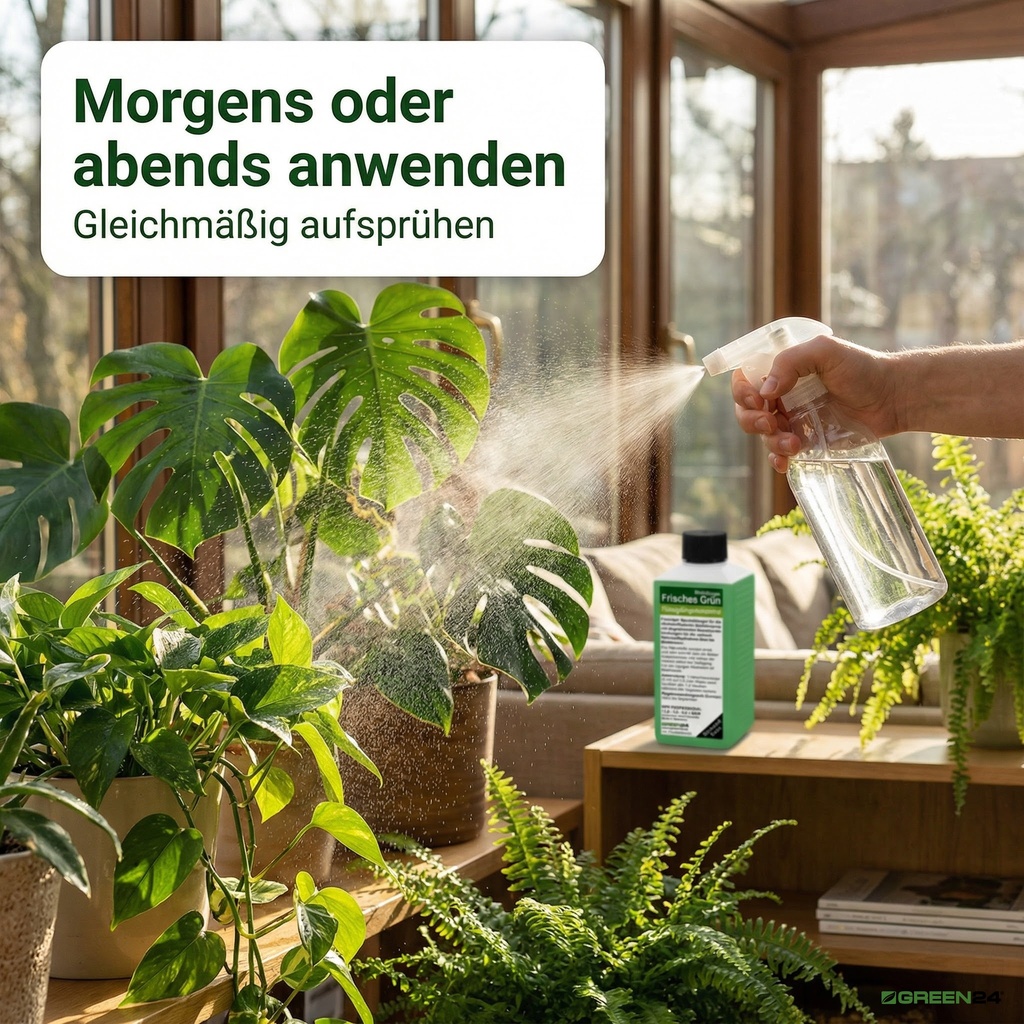 Anwendung von GREEN24 Blattdünger Frisches Grün auf Zimmerpflanzen mit Sprühflasche