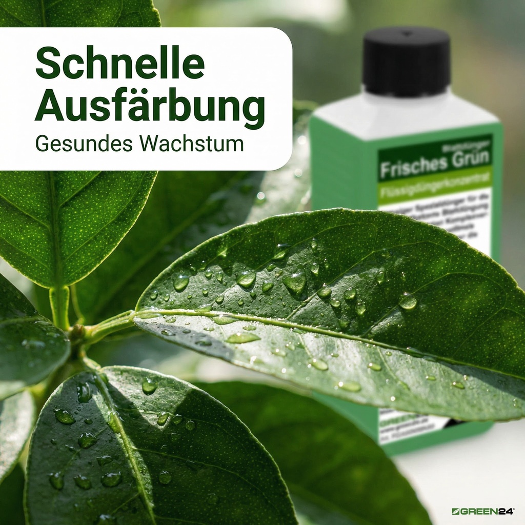 Gesunde sattgrüne Blätter nach Anwendung von GREEN24 Blattdünger Frisches Grün