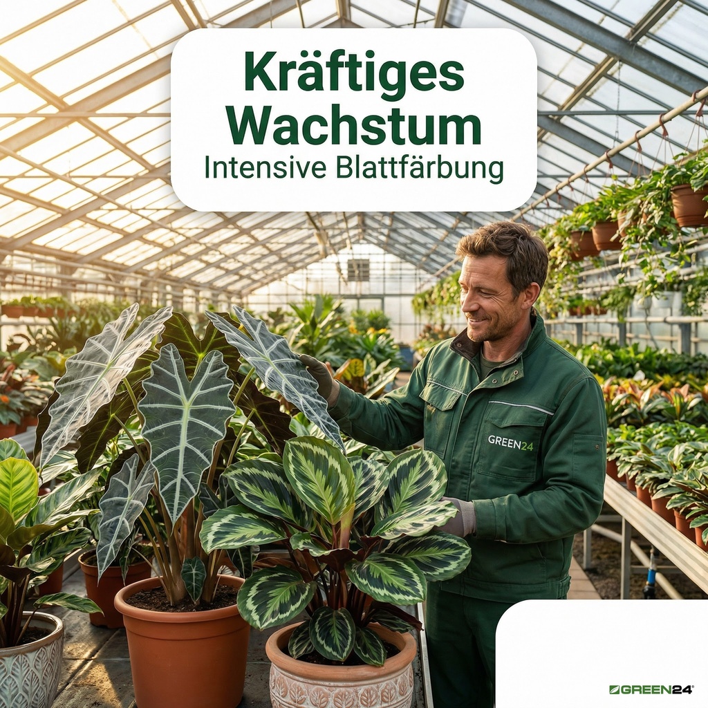 Düngung für Hobbygärtner*innen und professionelle Gärtner*innen