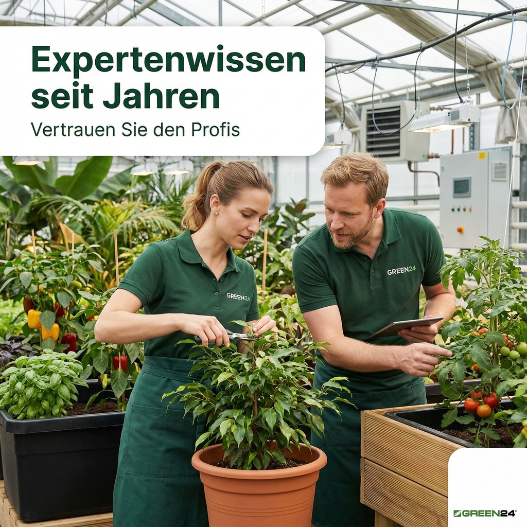 Blattdüngungen für gesunde Grünpflanzen und Gemüsepflanzen