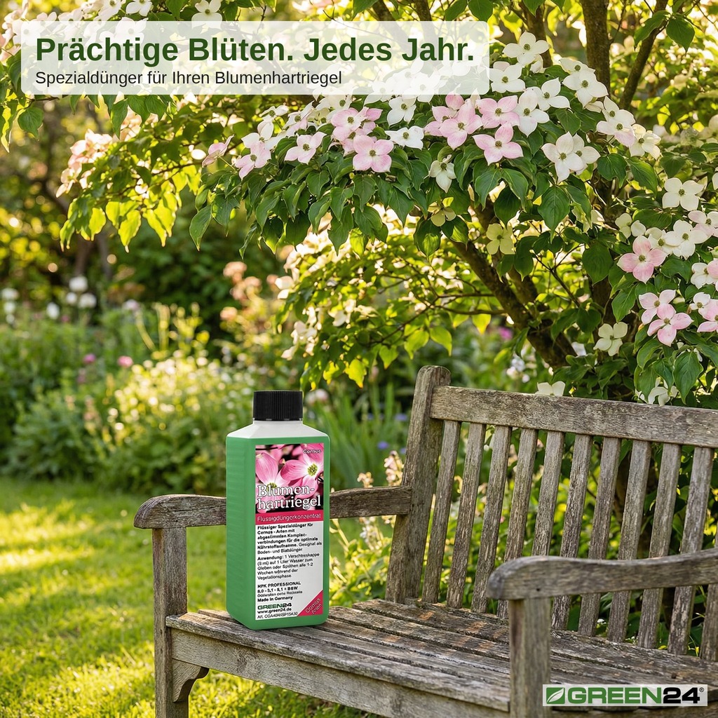  GREEN24 Blumenhartriegel-Dünger