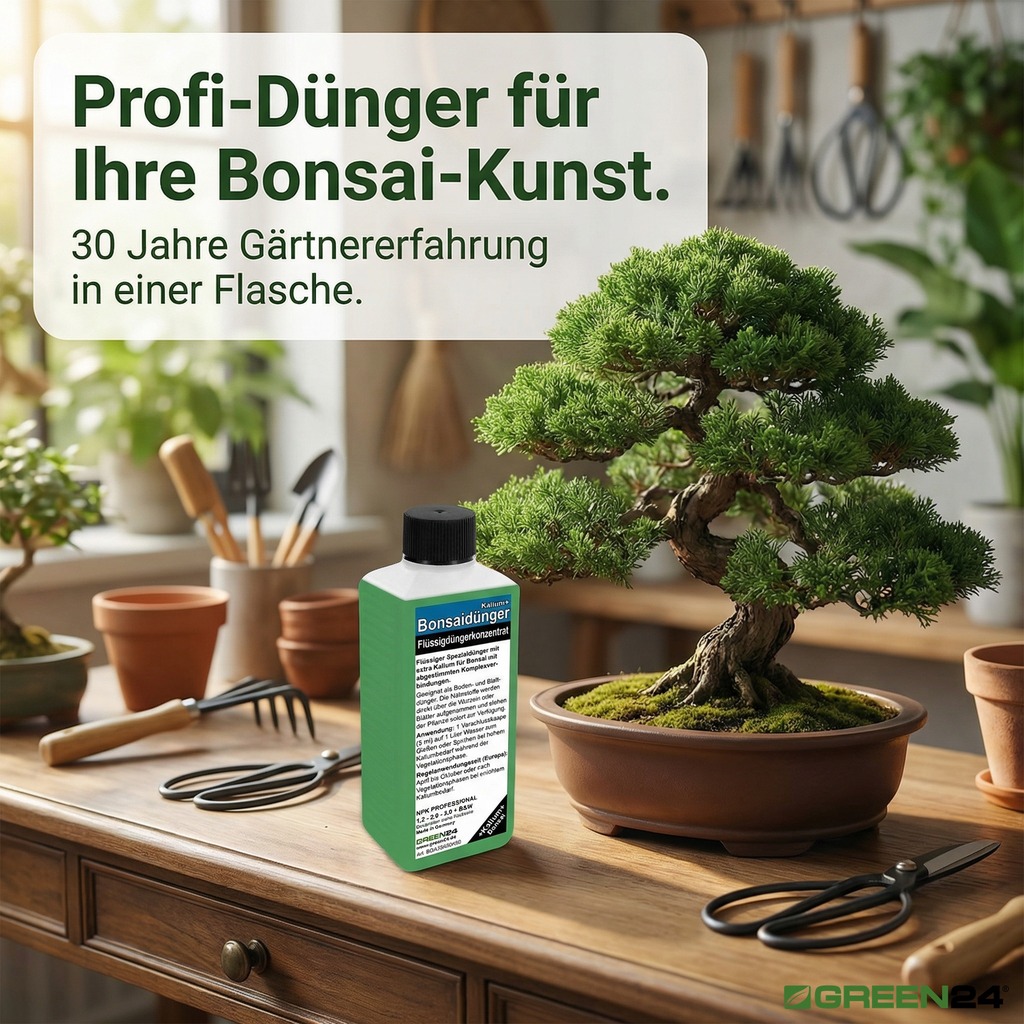 Profi-Linie Bonsai-Dünger für einem üppigen Wacholder-Bonsai. Profi-Dünger für Ihre Bonsai-Kunst.