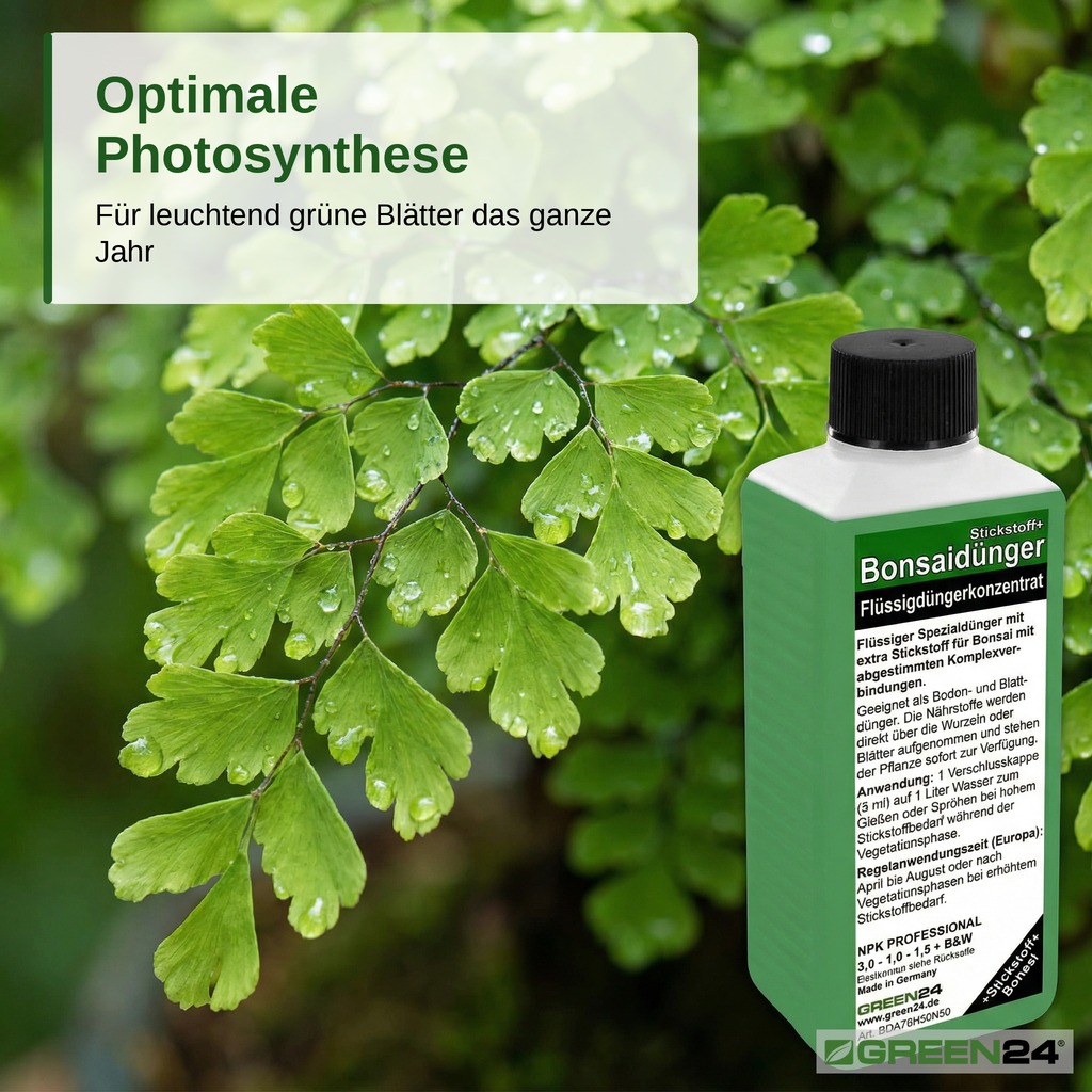 Bonsai-Dünger NPK Stickstoff+ für optimale Photosynthese und sattes Blattgrün.