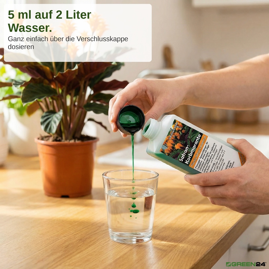 Dosieren des Calathea Flüssigdünger über die Verschlusskappe