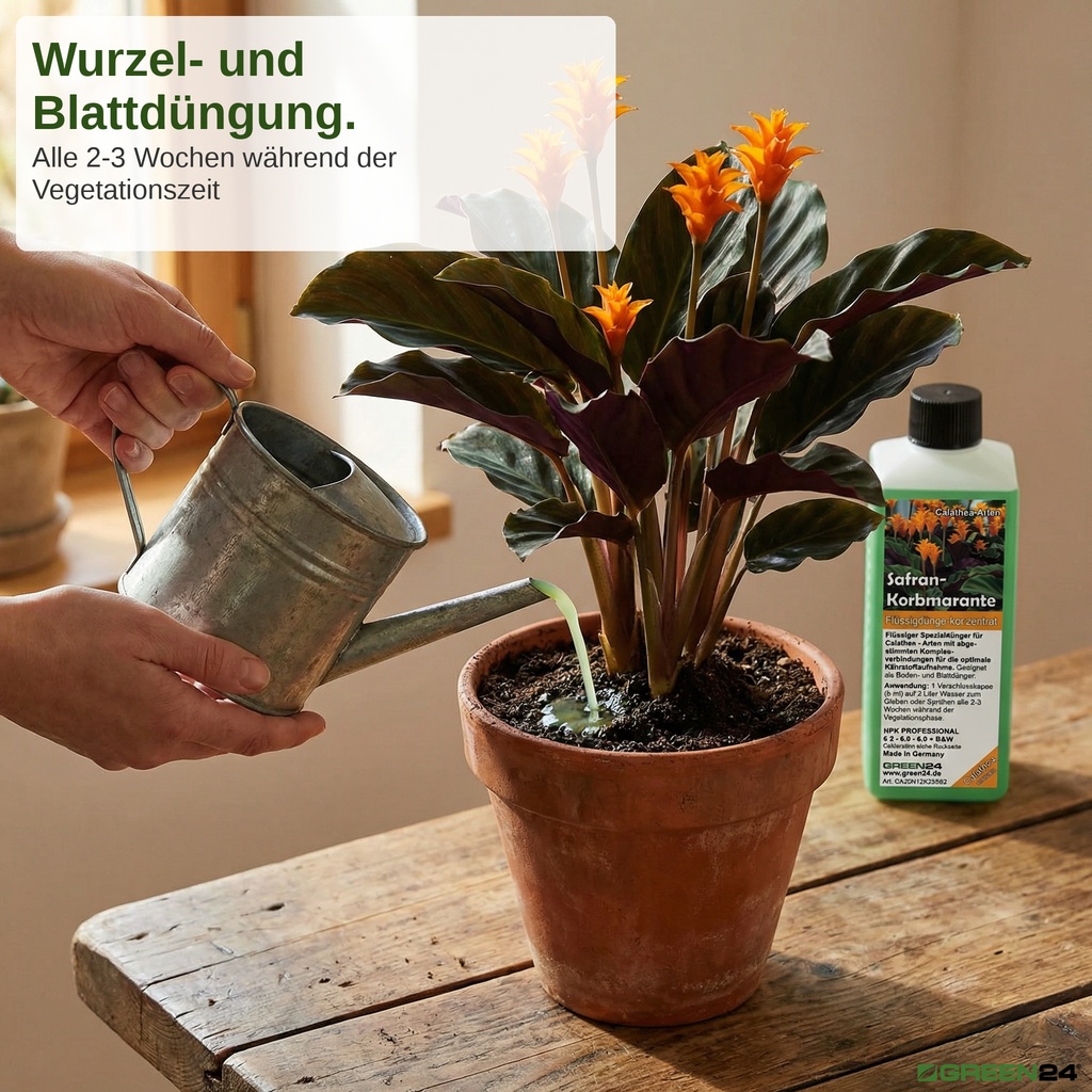Calathea Dünger mit N-P-K Werten für kräftige Calathea-Blätter – Stickstoff, Phosphat, Kalium und Spurenelemente