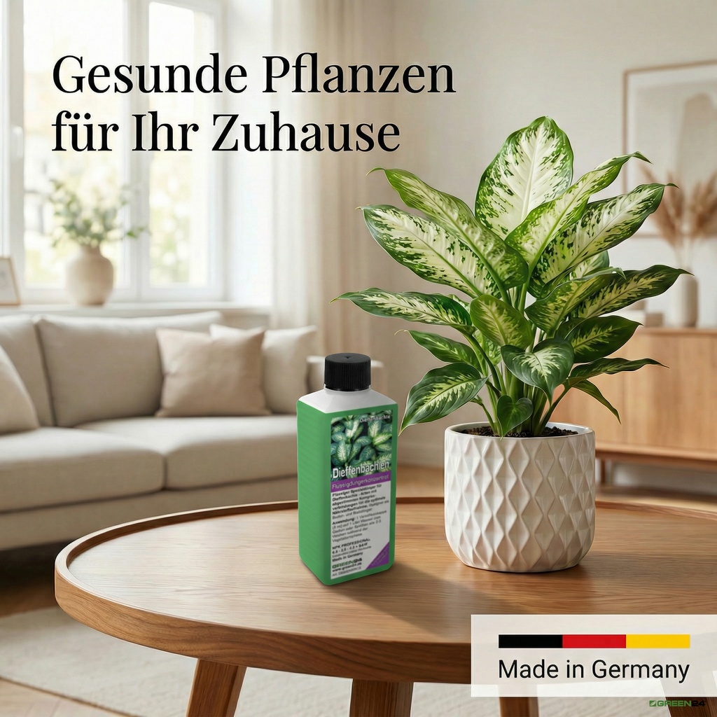 Dieffenbachia Dünger Made in Germany