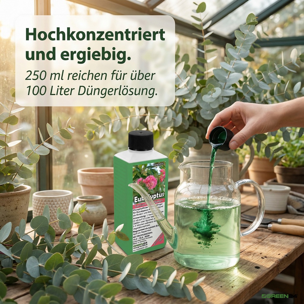 Eukalyptus-Dünger wird in Wasser gemischt, hochkonzentriert und ergiebig.