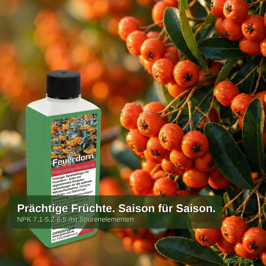 Feuerdorn-Dünger Pyracantha Flüssigdüngerkonzentra für erntereiche Pyracantha-Beeren