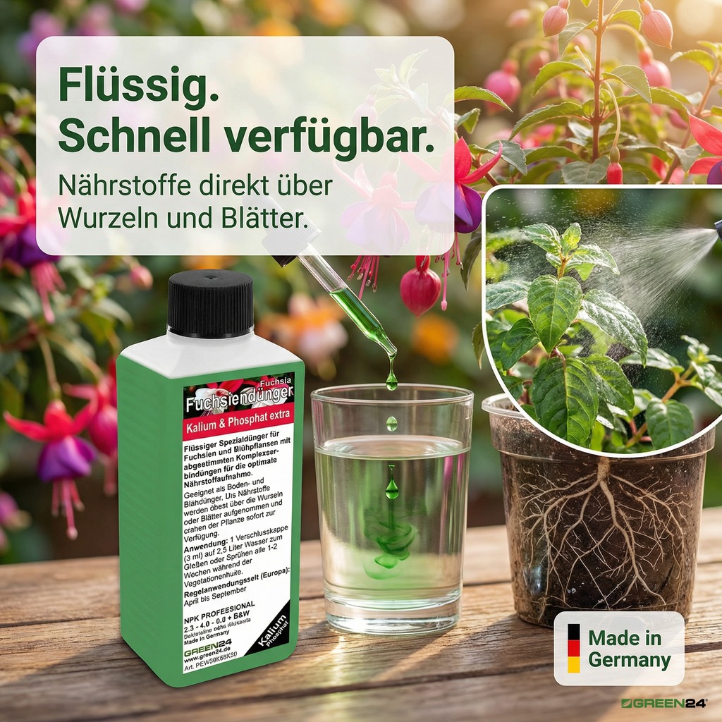 Fuchsiendünger - Wurzeln und Sprühnebel