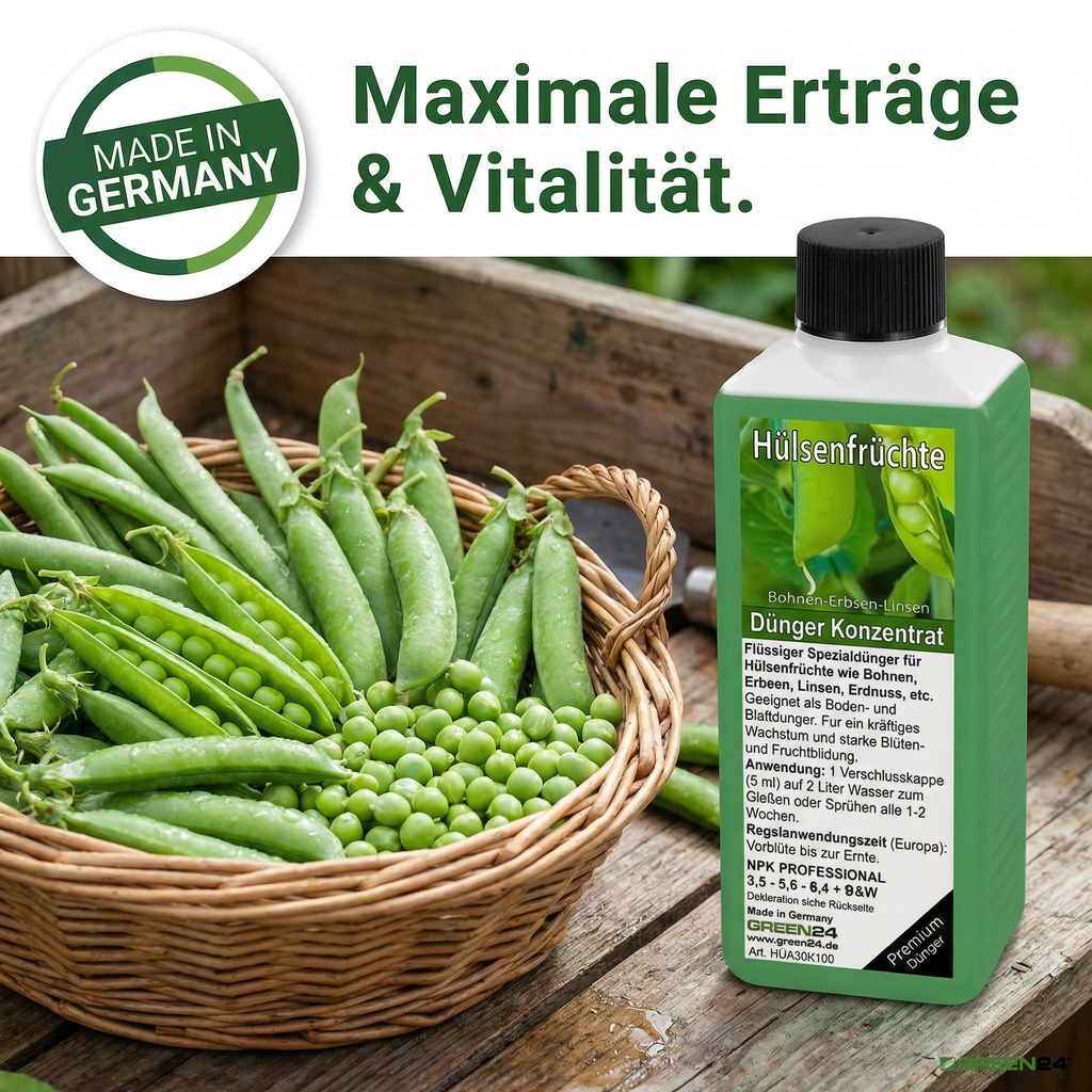 Hülsenfrucht Dünger mit frischen grünen Erbsen