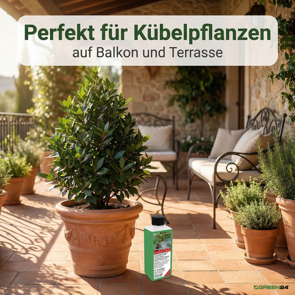 Gewürzlorbeer-Dünger für Kübelpflanzen