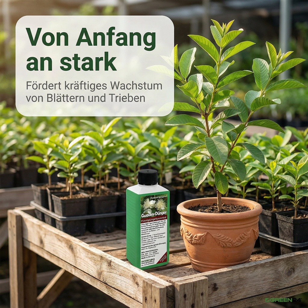 NPK-Formel für gesundes Wachstum und reiche Ernte