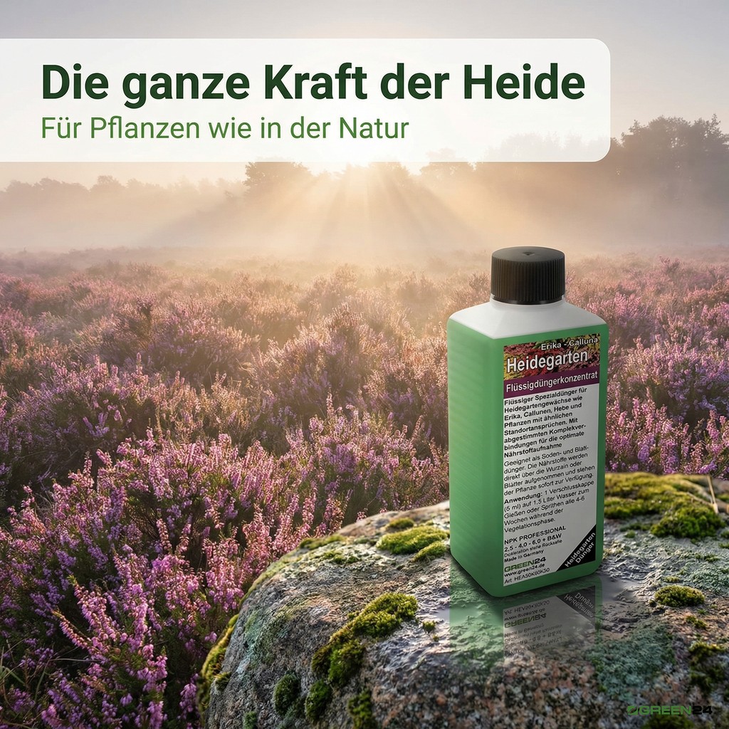 Heidegarten Dünger für stimmungsvolle Heidelandschaft 