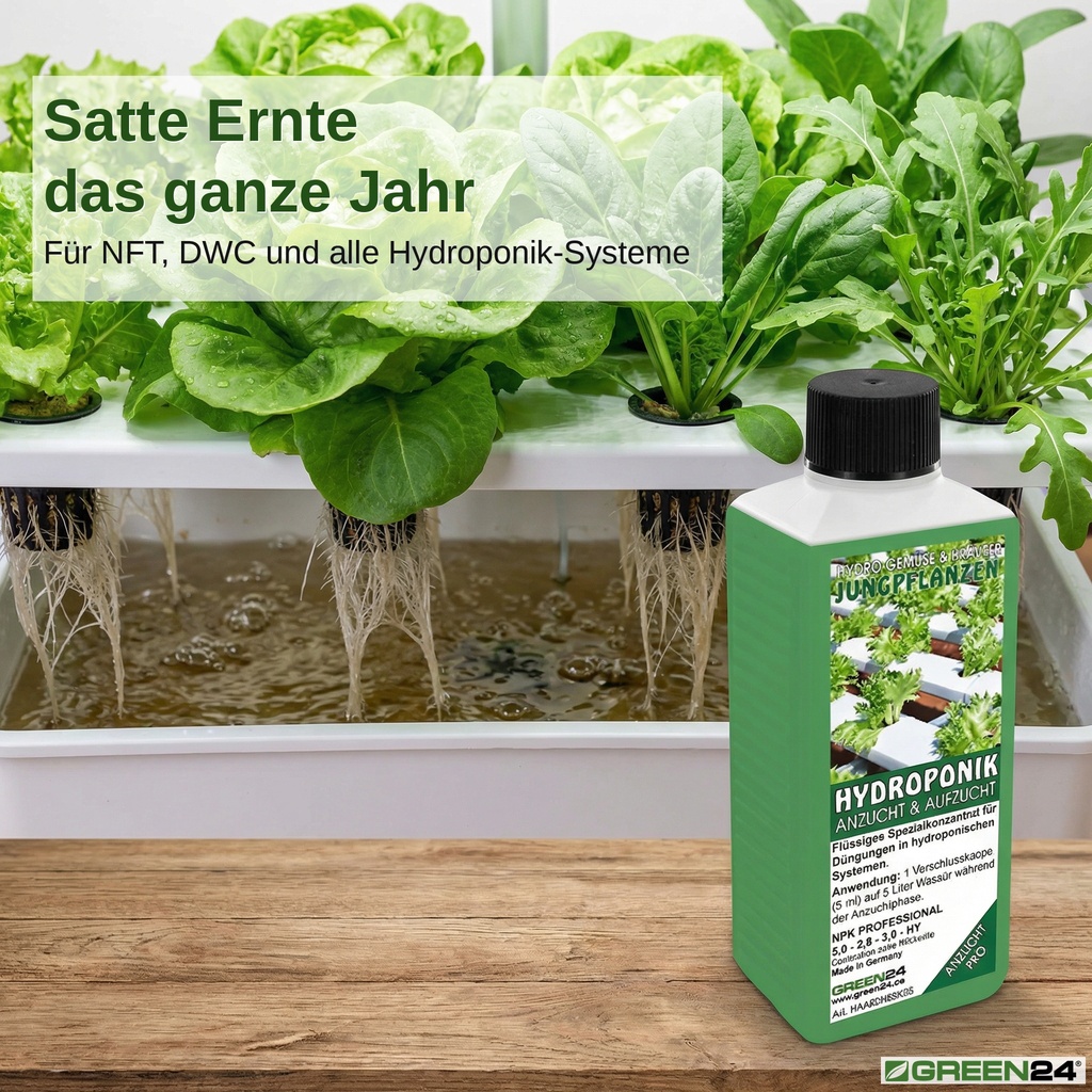 Hydro-Anzucht NPK Konzentrat vor DWC Deep-Water-Culture-System mit üppigem Salat, Spinat und Rucola, sichtbare Wurzeln im Wasser