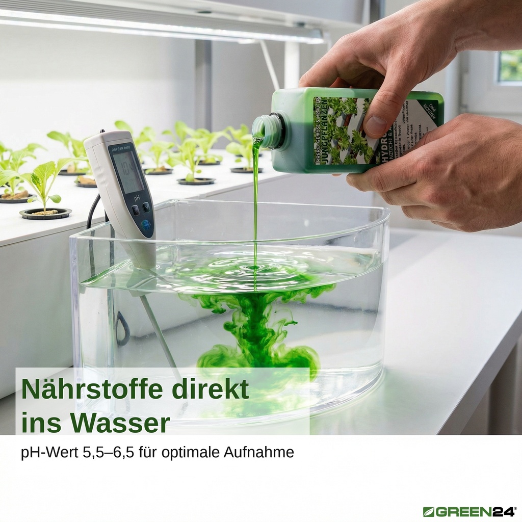 ydro-Anzucht Nährlösung wird in Hydroponik-Reservoir gegossen