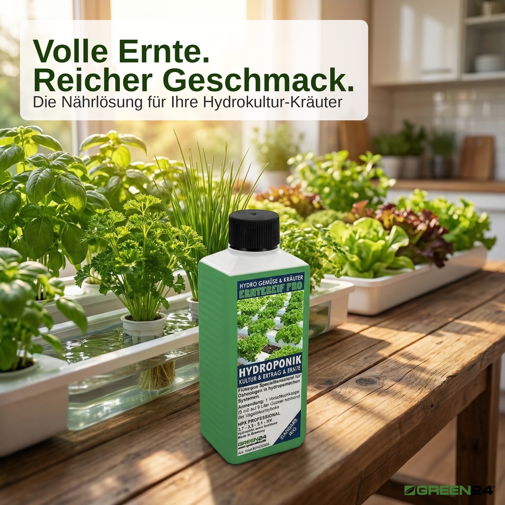 Hydro-Erntereif Nährlösung mit üppigen Kräutern in modernem Hydroponik-System – NPK Volldünger für Hydrokultur