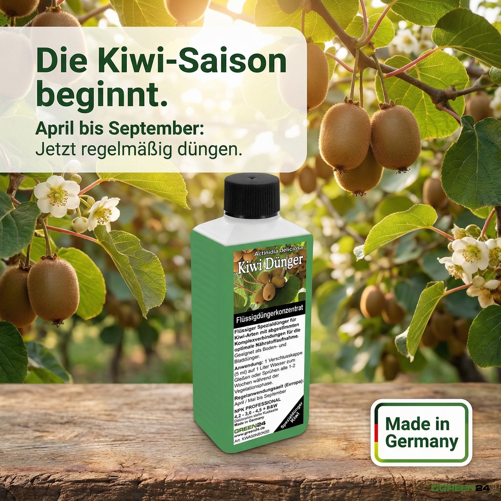 Kiwi-Dünger - düngen von April bis September