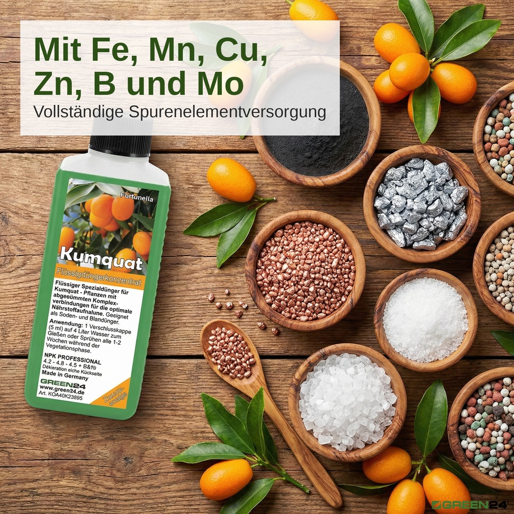 Spurenelemente des Kumquat-Düngers: Eisen, Mangan, Kupfer, Zink, Bor und Molybdän