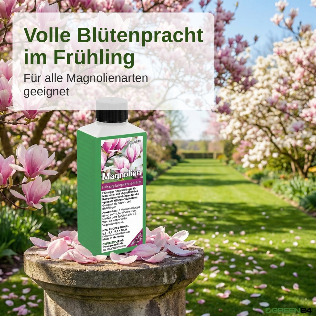 Magnolien-Flüssigdünger im Frühlingsgarten mit Magnolien-Allee und rosa Blütenblättern
